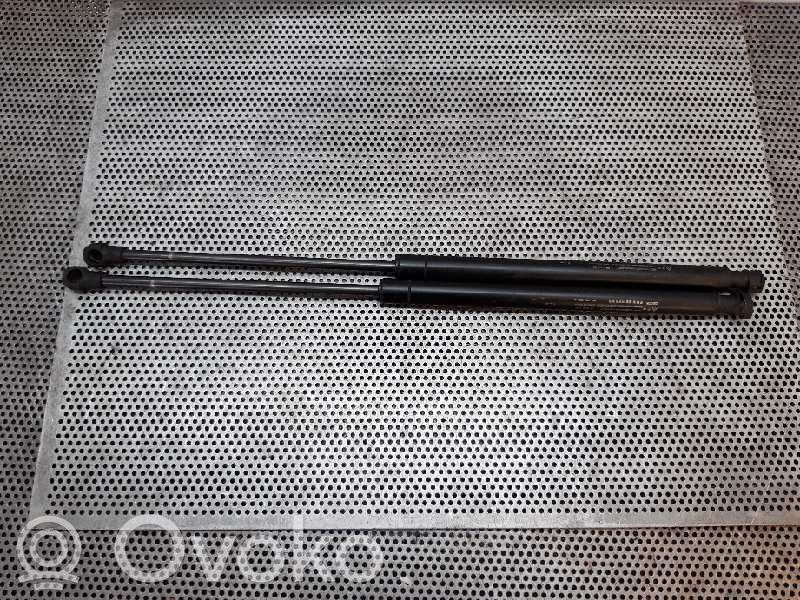 Tailgate/trunk strut/damper
