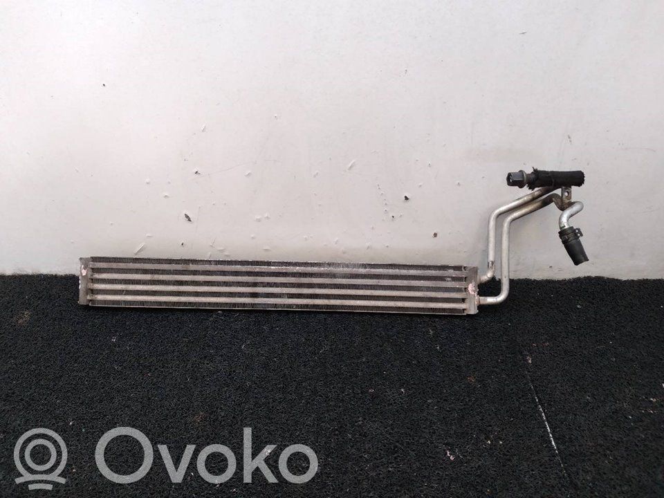 Volkswagen Touareg I Radiatore del servosterzo 