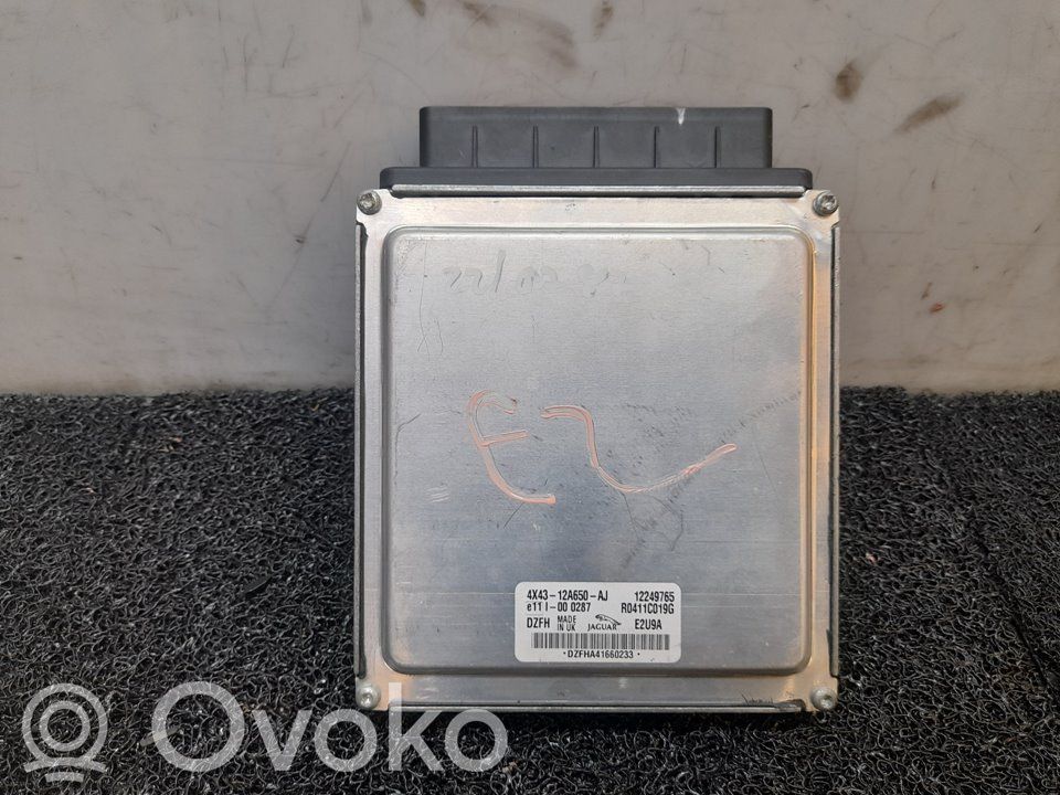 Jaguar X-Type Engine control unit/module 