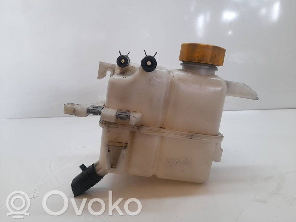 Chevrolet Captiva Vaso di espansione carburante 