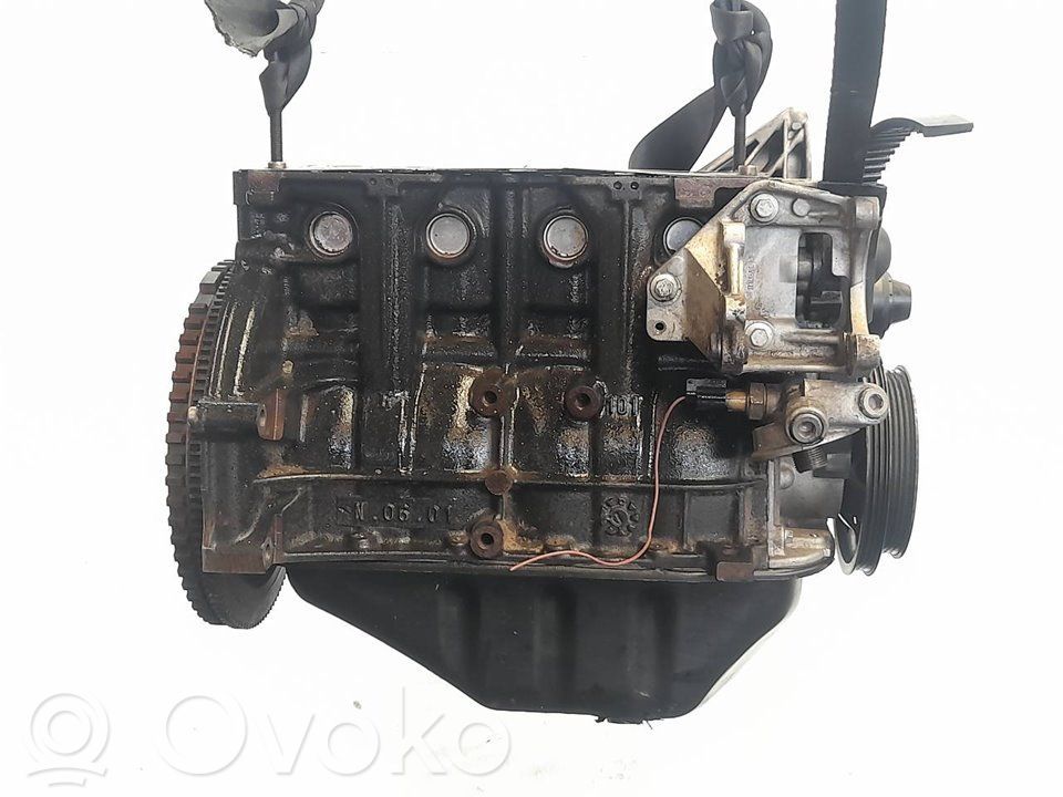 Dacia Sandero Engine block 