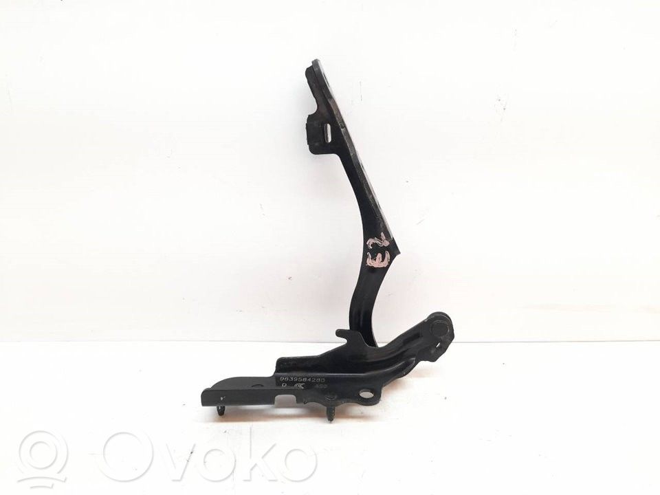 Citroen C2 Engine bonnet/hood hinges 