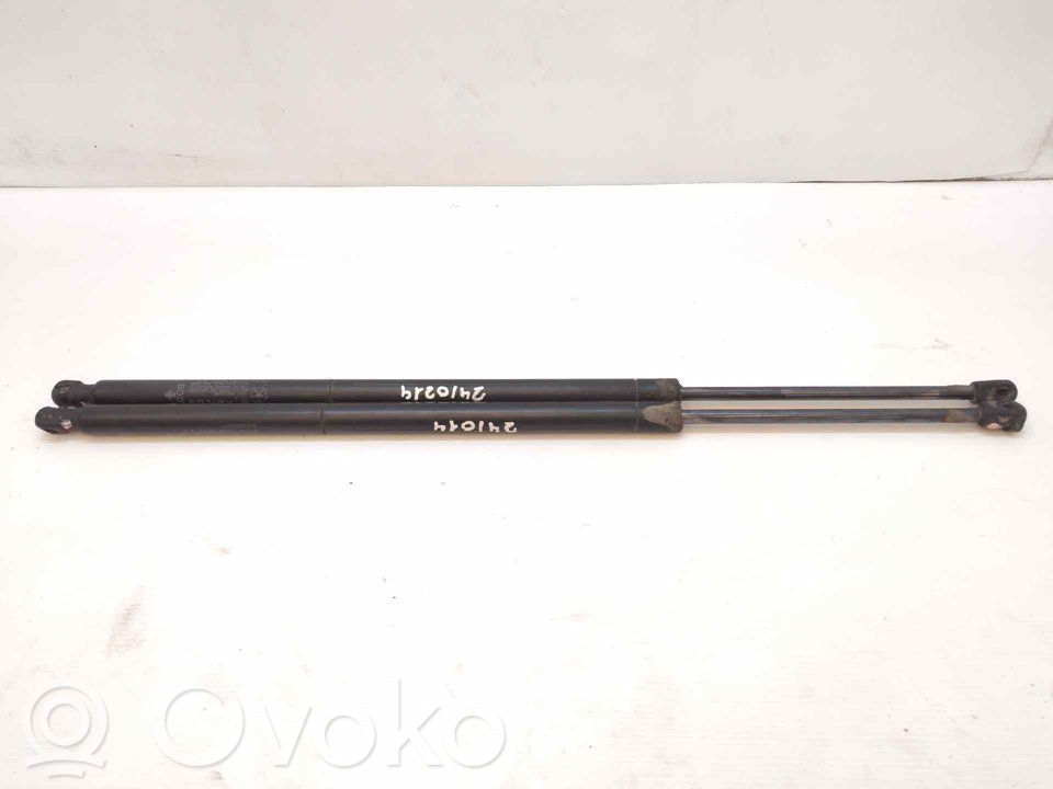 Tailgate/trunk strut/damper