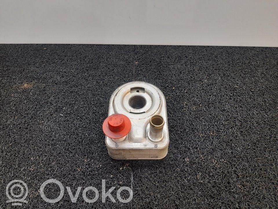 Radiateur d'huile moteur   CM5G6B856EA