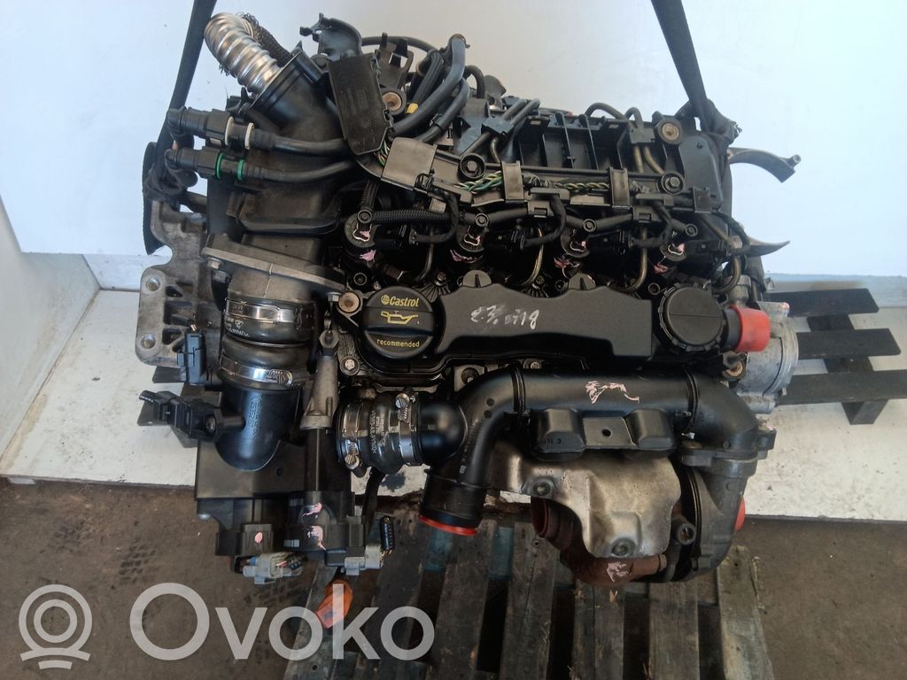 Motor   D4164T
