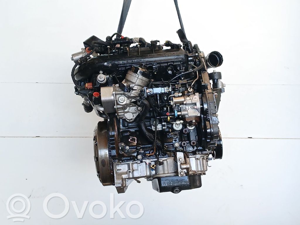 Motor   A17DTS