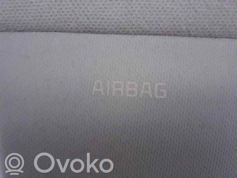 Airbag de la puerta delantera