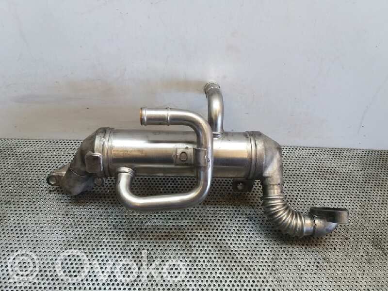KIA Sorento Chłodnica spalin EGR 