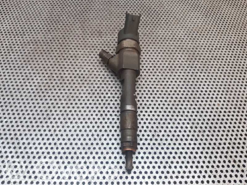 Renault Megane II Injector combustibil 