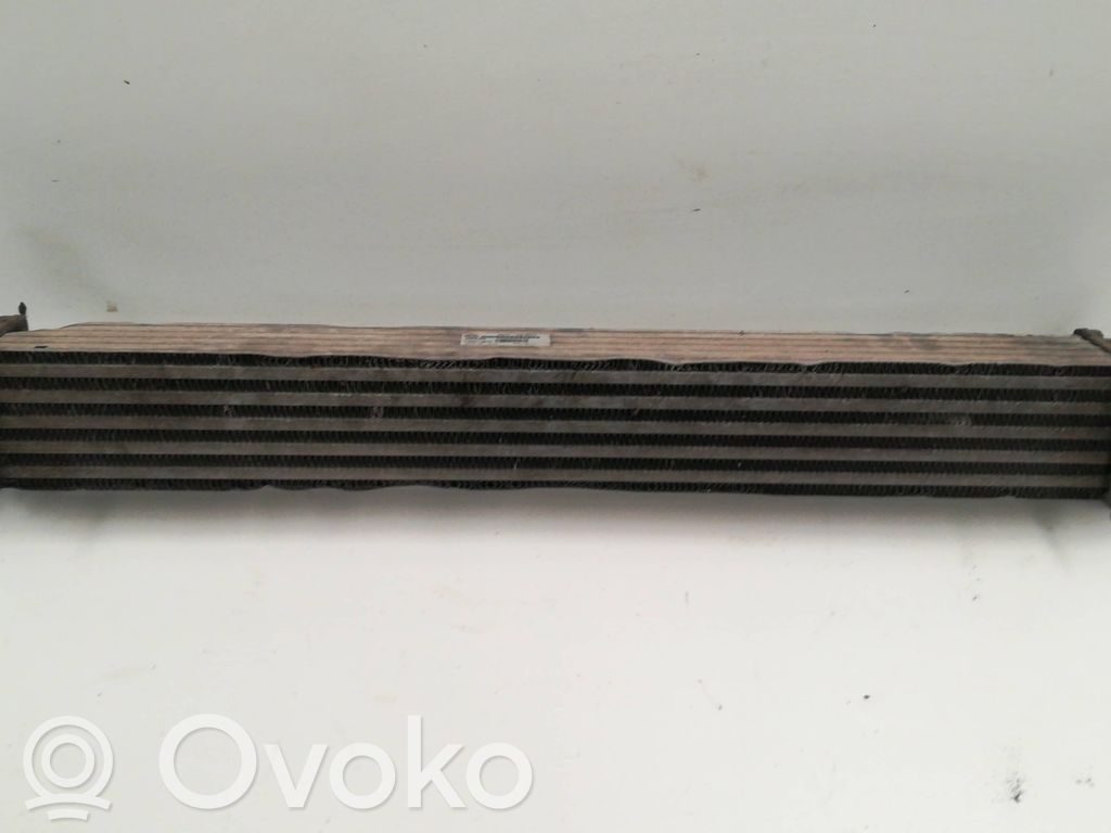 Seat Ibiza III (6L) Radiatore intercooler 