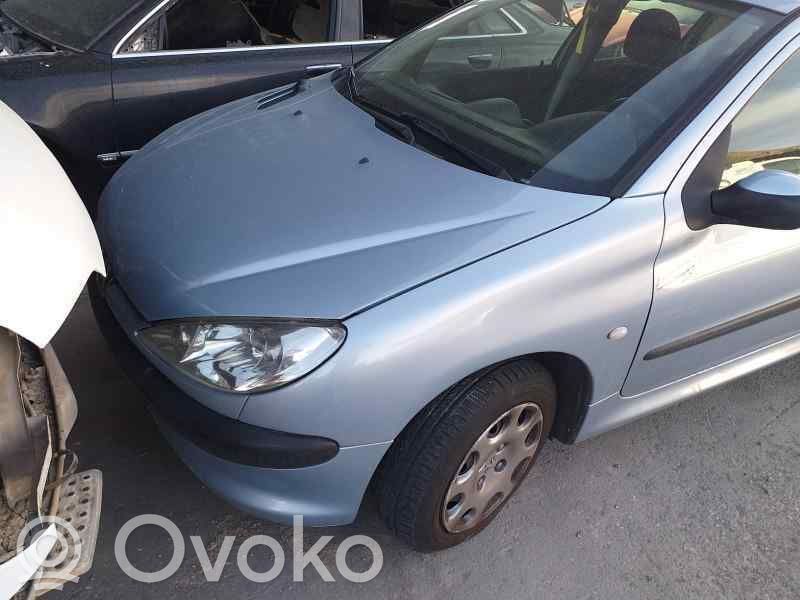 Peugeot 206 Alzacristalli della portiera anteriore con motorino 