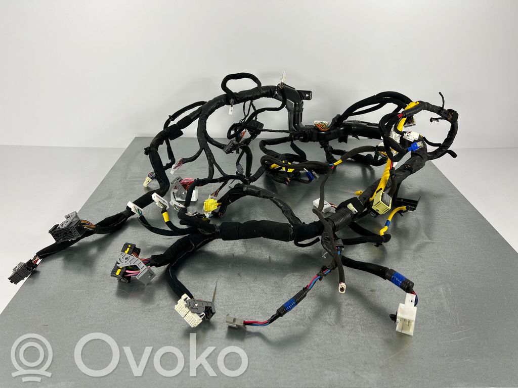 Hyundai Ioniq Panel wiring 