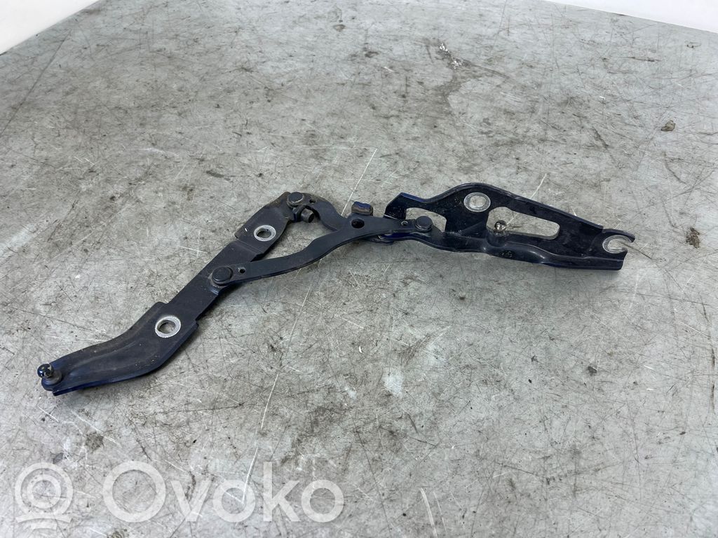Tailgate/trunk/boot hinge   7166752