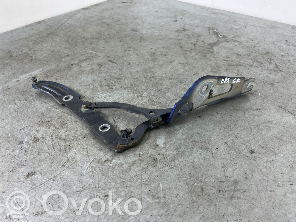 BMW 1 E82 E88 Tailgate/trunk/boot hinge 