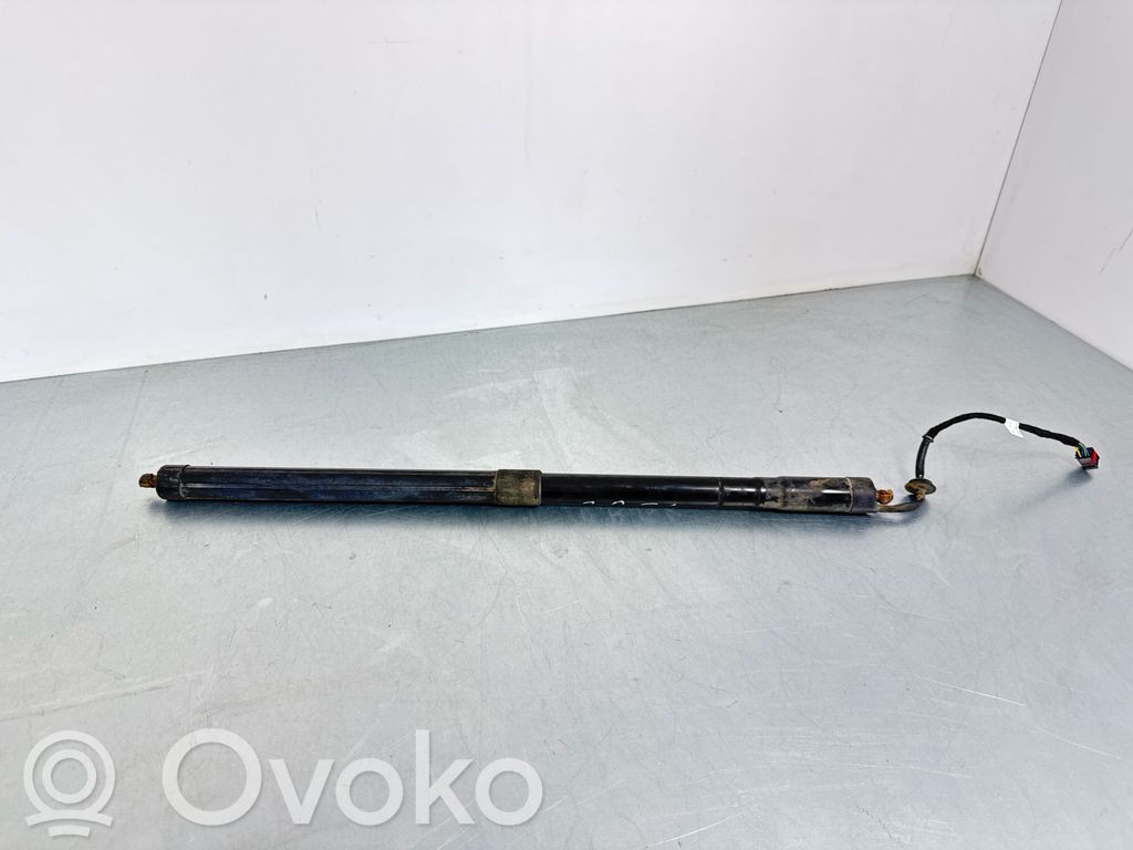 Land Rover Range Rover Sport L494 Amortizor hayon 