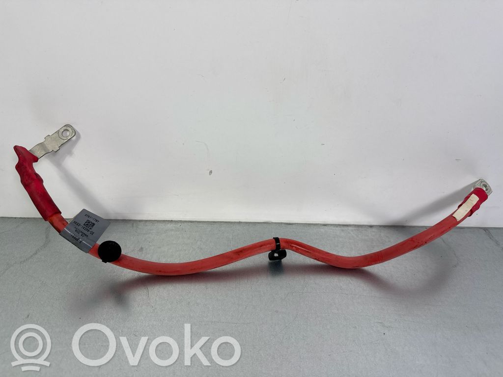 Plus / Klema / Przewód akumulatora   HK8314300DE,301192302,X76117YY