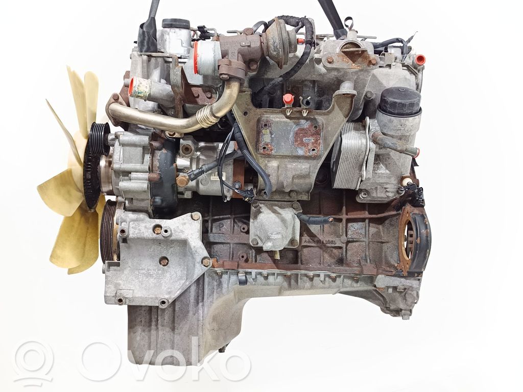 Engine   665925,INYECCIONDELPHI