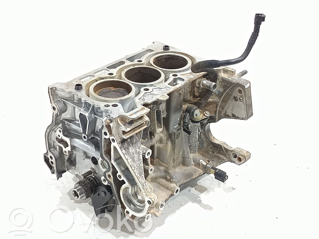 Nissan Juke II F16 Engine block 