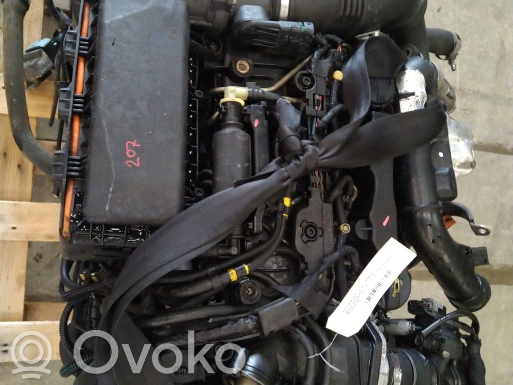 Variklis   0135QF