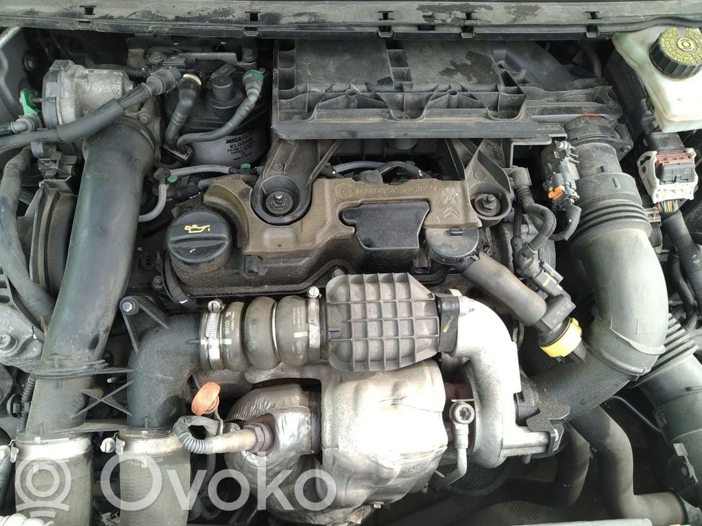 Motor   0135SW