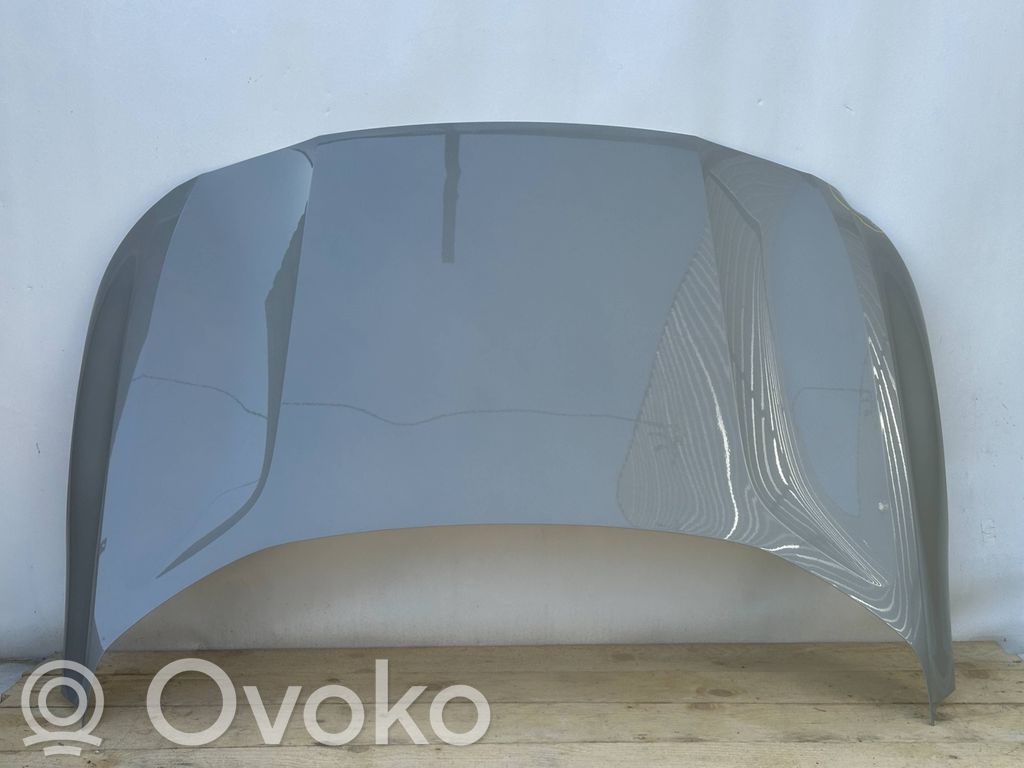 Dzinēja pārsegs (vāks)   31345654