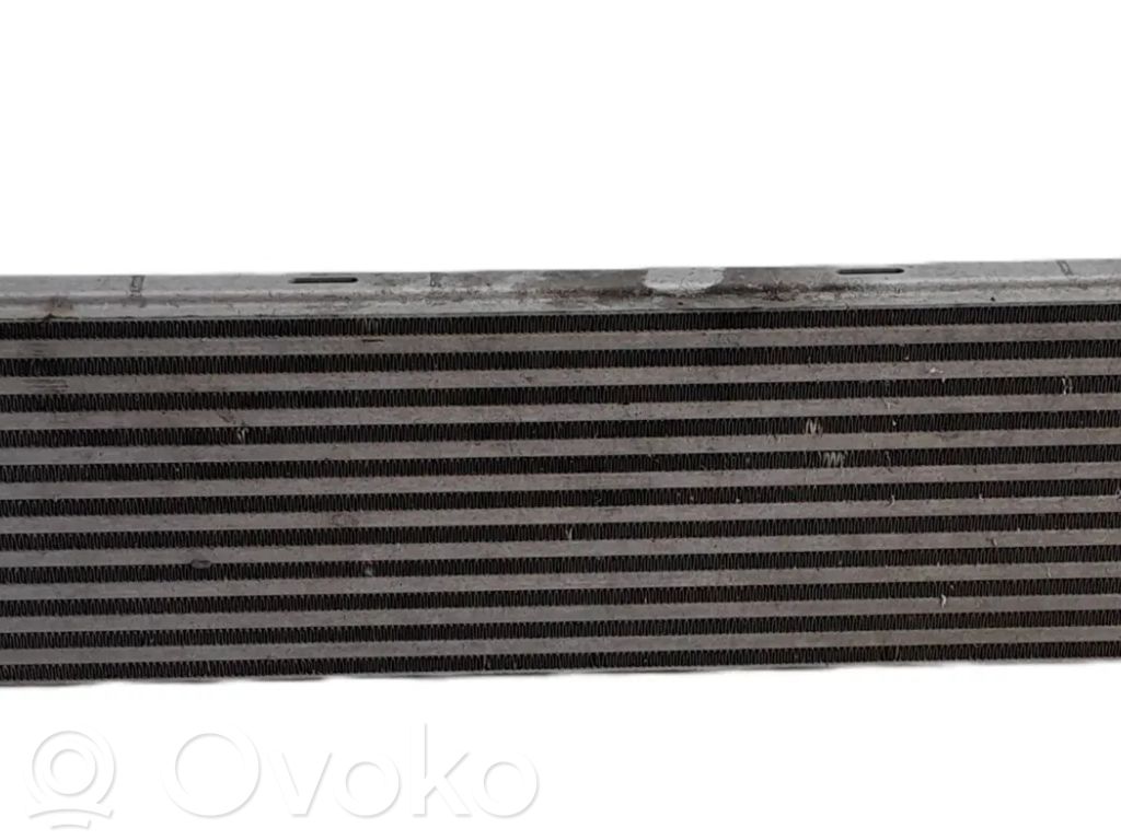 Intercooler radiator   40890290E
