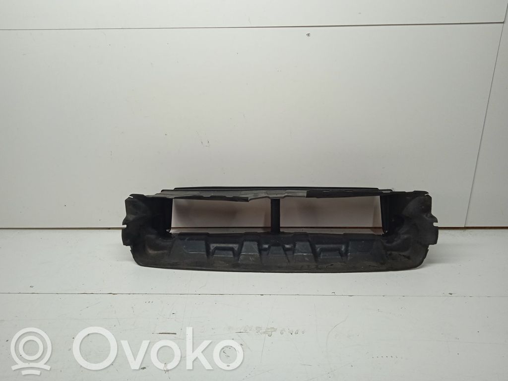 Ford Focus Lufteinlass Luftführung 
