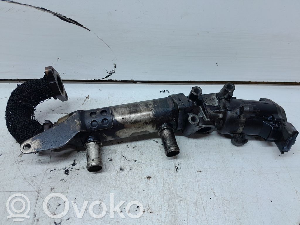 Citroen C5 Chłodnica spalin EGR 