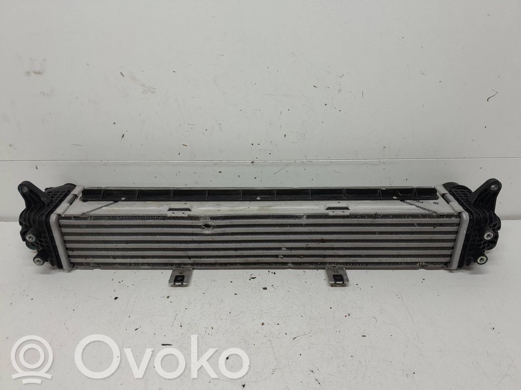 Interkūlerio radiatorius   2827008000
