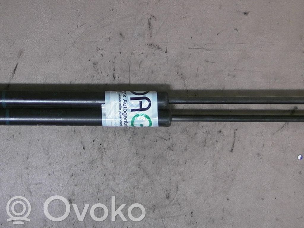 Tailgate/trunk strut/damper