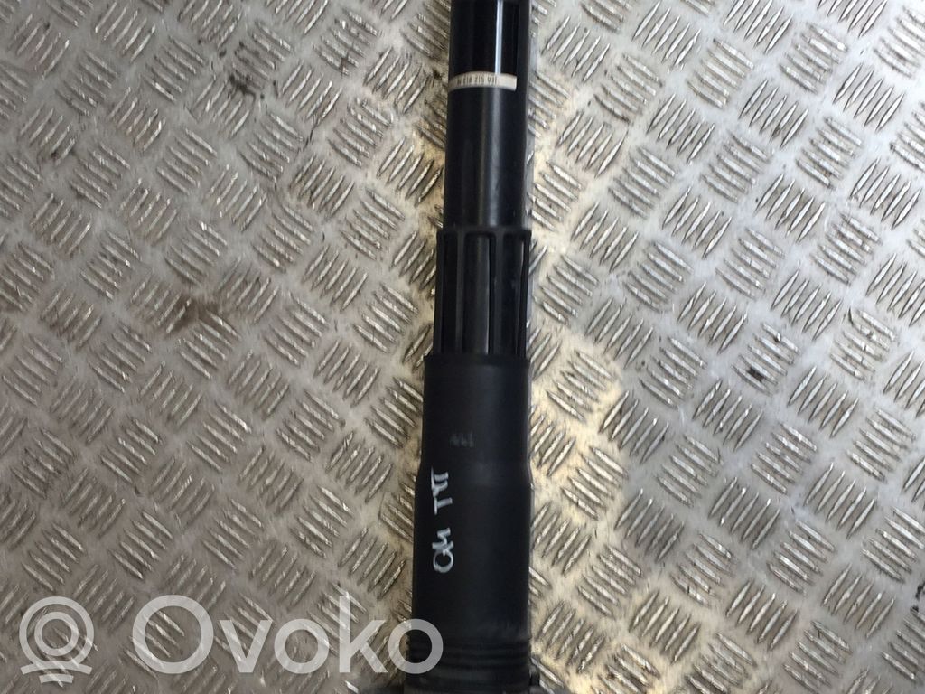 Stoßdämpfer vorne   1EA512013AK,1EA512013AK
