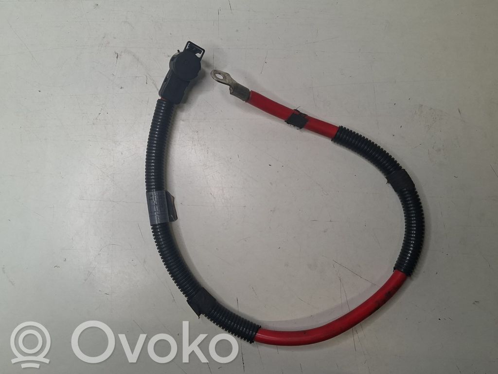 Positive cable (battery)   6904905,6904877,KW3006