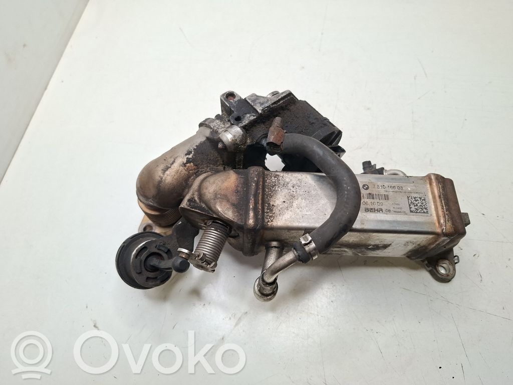 EGR aušintuvas   7810166,061009