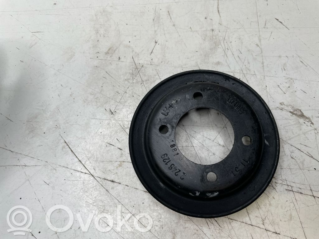 BMW 5 E39 Polea de la bomba de agua 