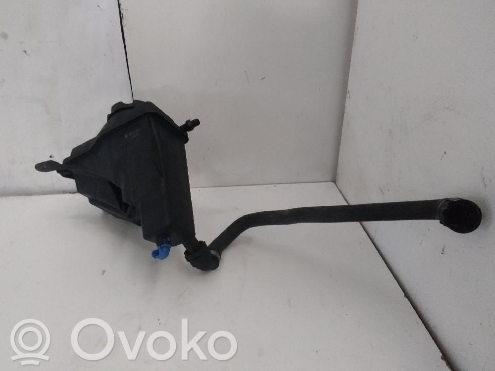 BMW 1 E82 E88 Aušinimo skysčio išsiplėtimo bakelis 
