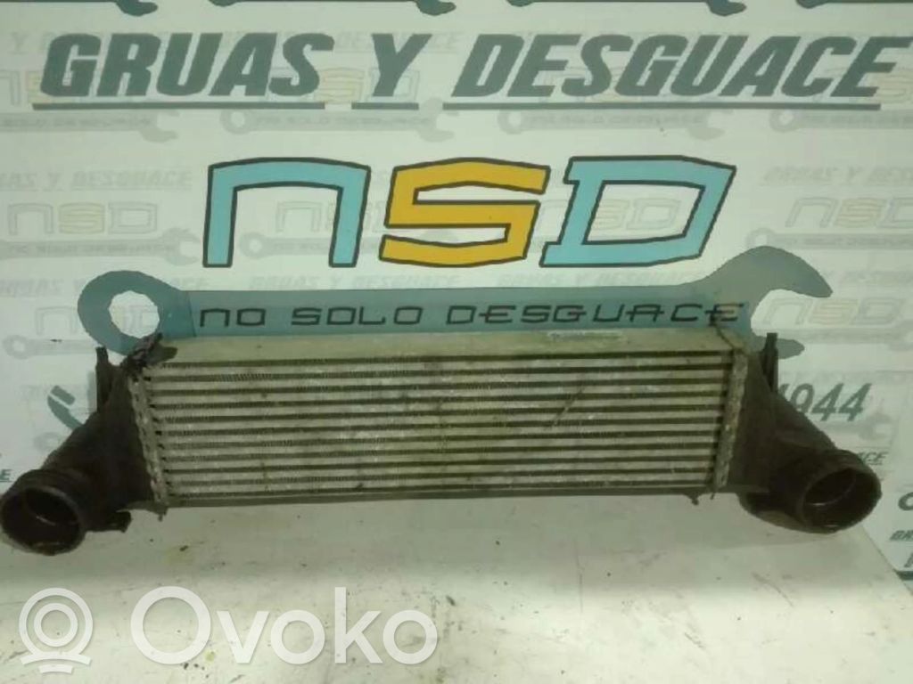 Radiador intercooler   17512247966