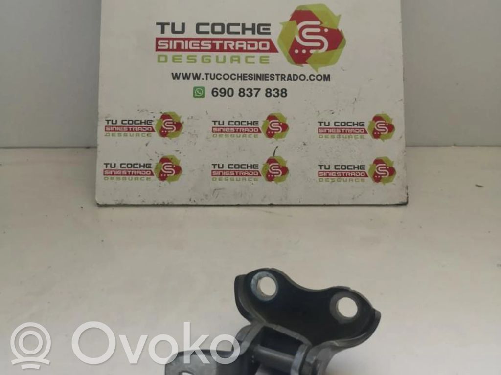 Front door hinge set   BISAGRAPUERTA