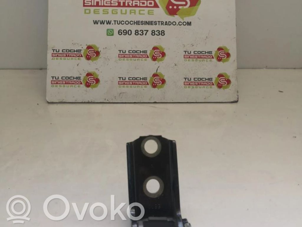 Toyota Yaris Front door hinge set 