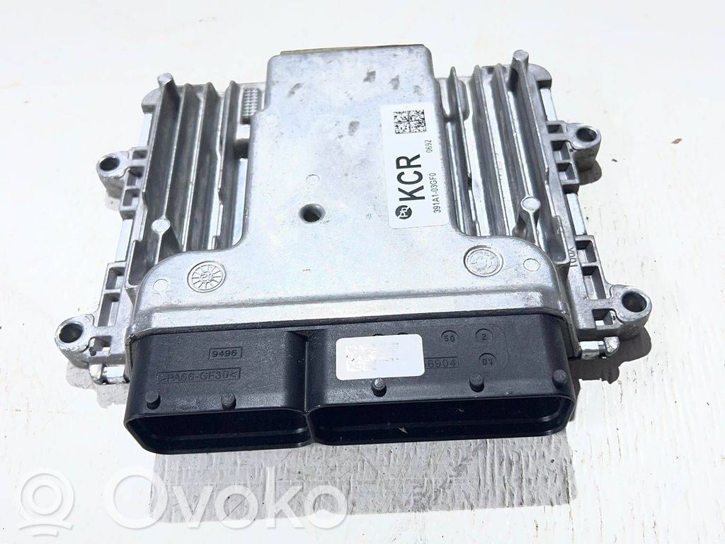 Engine control unit/module   391A103GF0