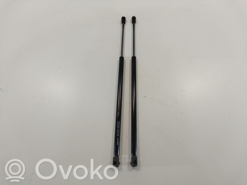 Tailgate/trunk strut/damper   502129,265J02,680N