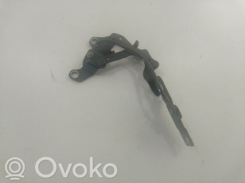 Bisagras del capó/tapa del motor   7115263,ES03