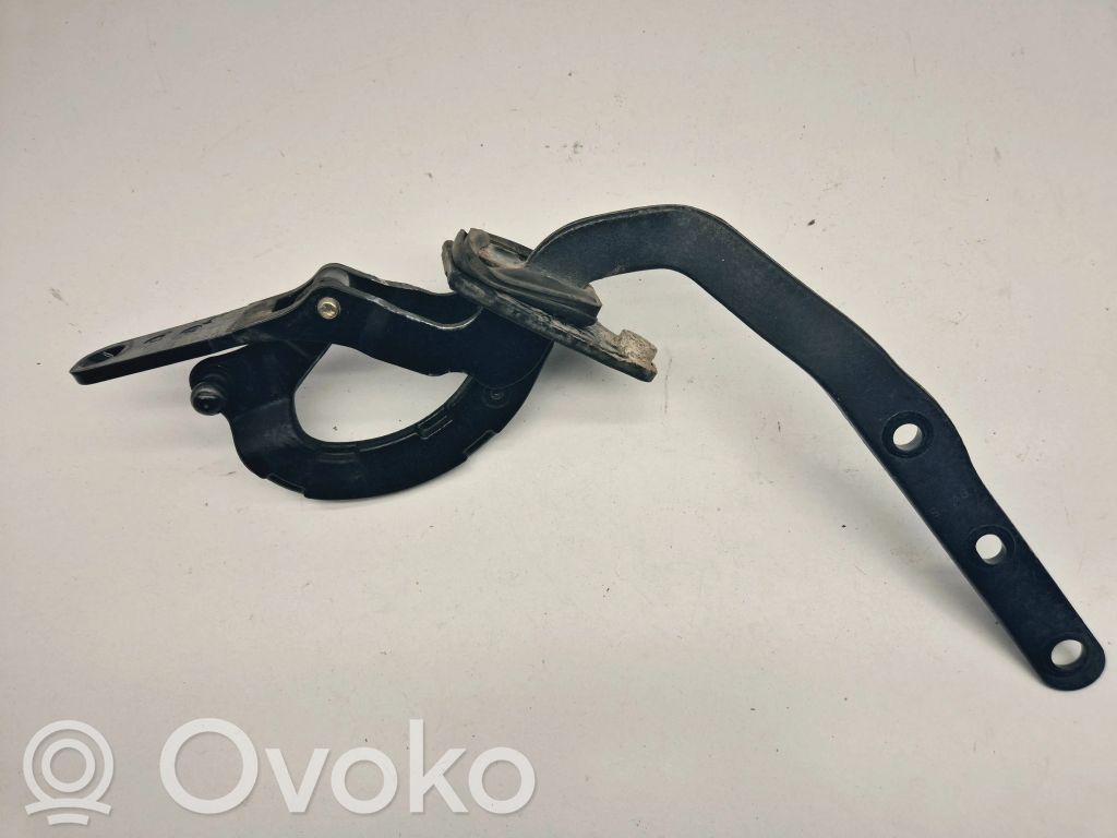 Tailgate/trunk/boot hinge   8643157,6570