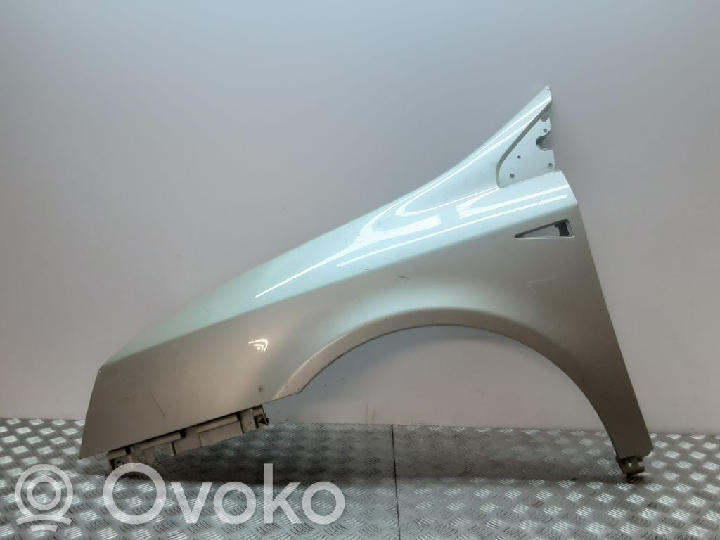 Renault Vel Satis Sparnas 