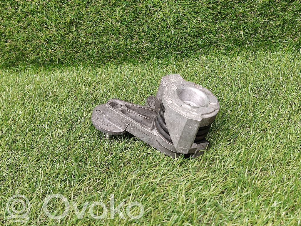 Napinacz paska wielorowkowego / Alternatora   7582946,1128758294602