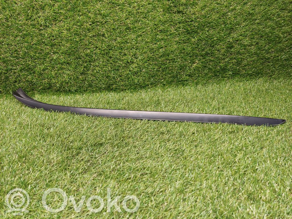 Windshield trim   7179263,717926303