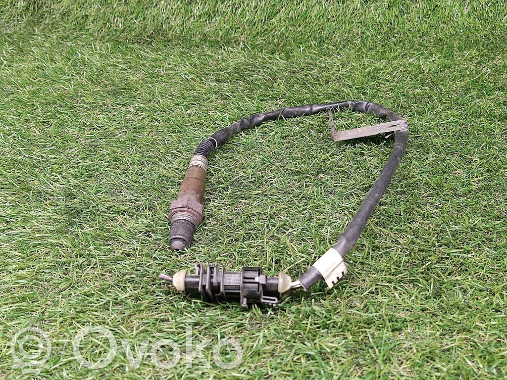 Lambda probe sensor   55562205,0258010067