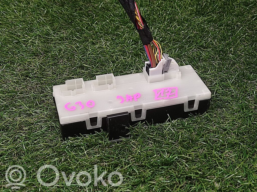 BMW 5 G30 G31 G38 Sterownik / Moduł elektrycznej klapy tylnej / bagażnika 