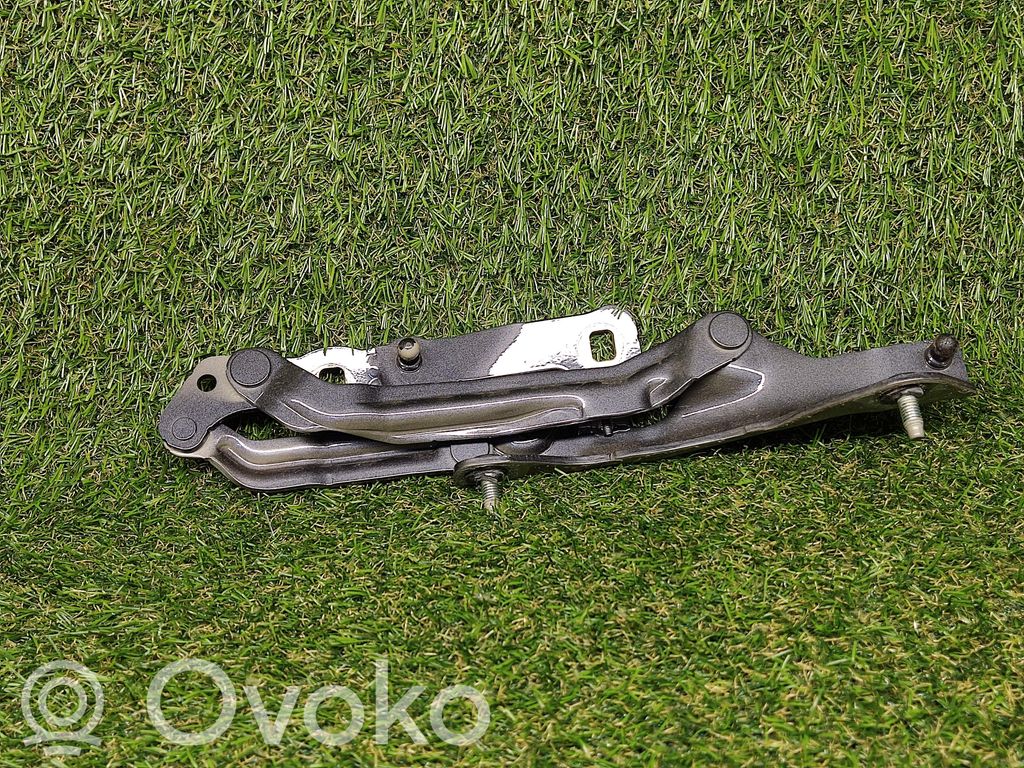 Tesla Model 3 Tailgate/trunk/boot hinge 
