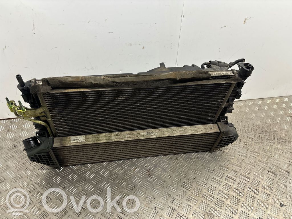 Ford Focus Aušinimo skysčio radiatorius 