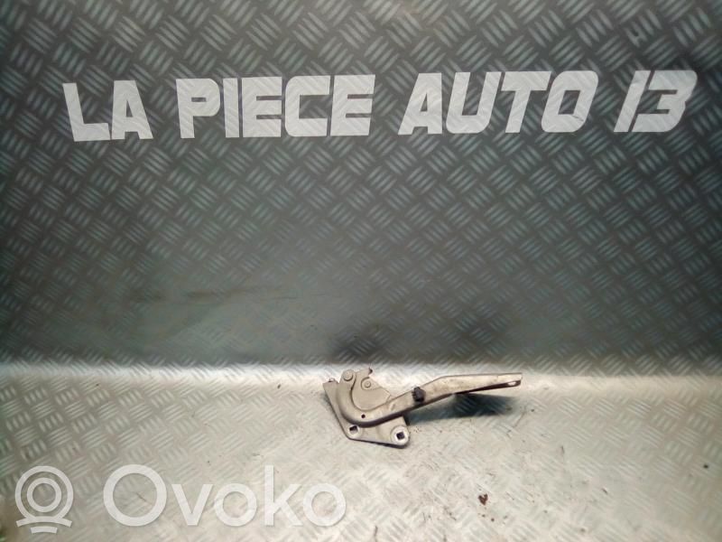 Renault Megane III Dzinēja pārsega eņģe (-es) 